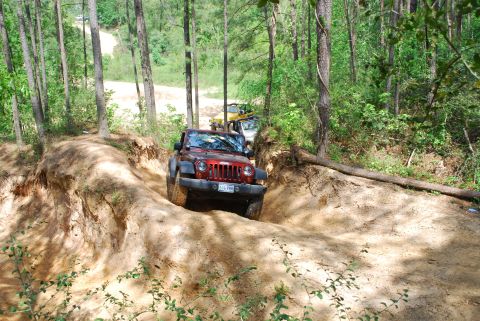 2008 Jeep Wrangler - A red 2008 Jeep Wrangler navigates a wooded dirt trail, with other vehicles following in the distance.