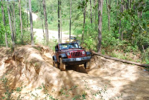 2008 Jeep Wrangler - Jeep Wrangler tackles an off-road trail in a wooded area, with another vehicle following.