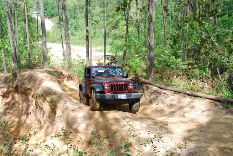 2008 Jeep Wrangler - A red Jeep Wrangler navigates a challenging off-road trail surrounded by trees, with another vehicle in the background.