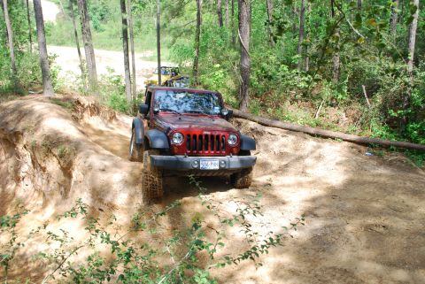 2008 Jeep Wrangler - A red Jeep Wrangler navigates a wooded dirt trail, with another vehicle following behind.
