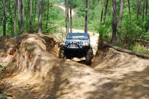 2008 Jeep Wrangler - Jeep Wrangler tackles an off-road trail in the woods, with another vehicle in the distance.