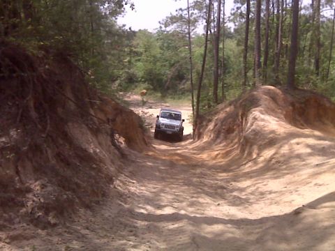 2008 Jeep Wrangler - A white 2007 Jeep Wrangler navigates a sandy, wooded trail.