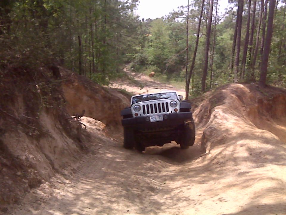 White Jeep Wrangler driving on a dirt trail through trees. License plate is visible
