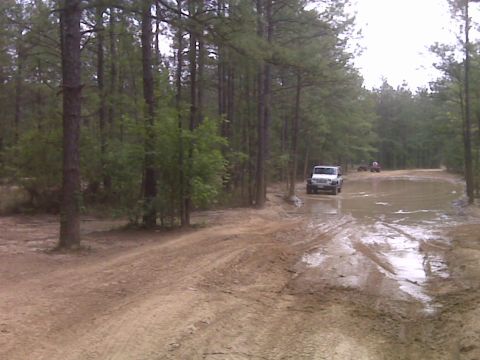 2008 Jeep Wrangler - A white 2007 Jeep Wrangler navigates a muddy path through a pine forest, with other vehicles visible in the distance.