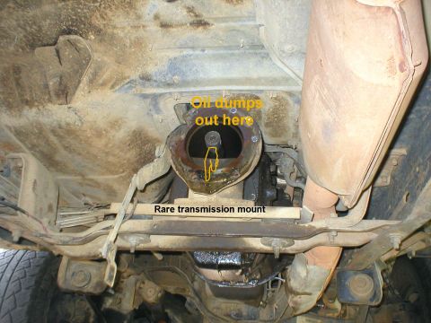 1983 Ford Bronco - When the t-case separates from the transmission extension, oil will dump out, so be prepared with a big drip pan, and a CLOSED mouth. For c…
