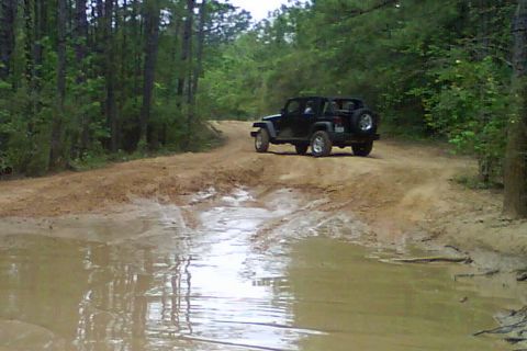 2008 Jeep Wrangler - Black Jeep Wrangler navigates a muddy trail with trees on either side.