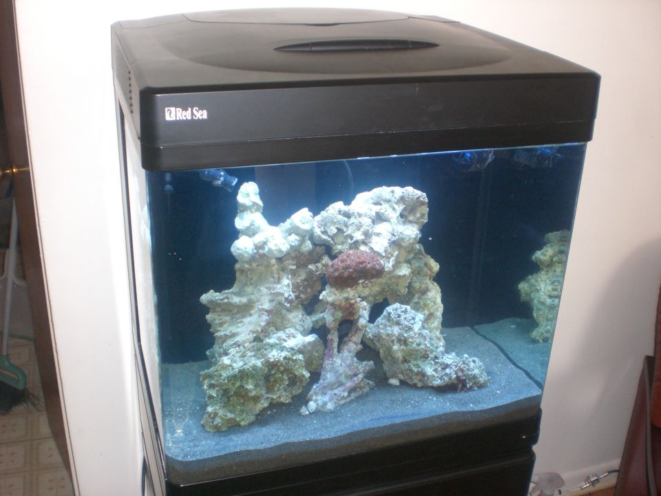 Black Red Sea aquarium with rock formations and sand