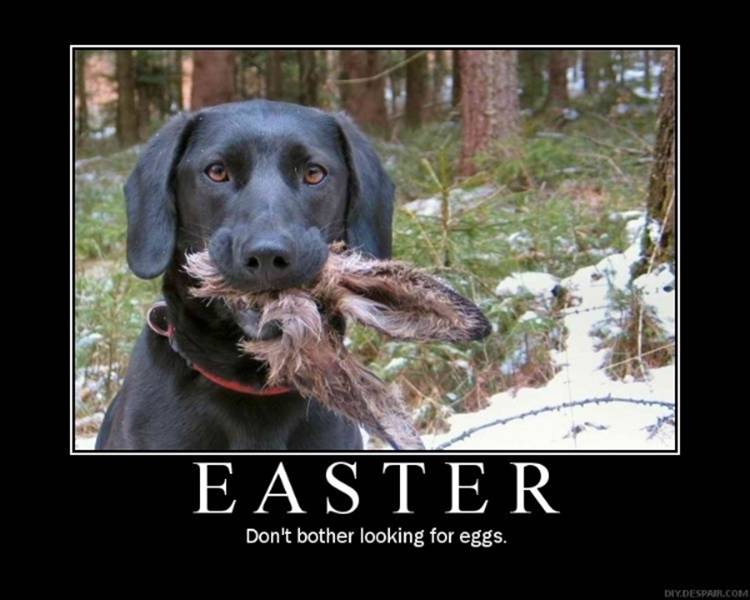 black dog in woods holding a rabbit, with text 'EASTER' and 'Don't bother looking for eggs.'