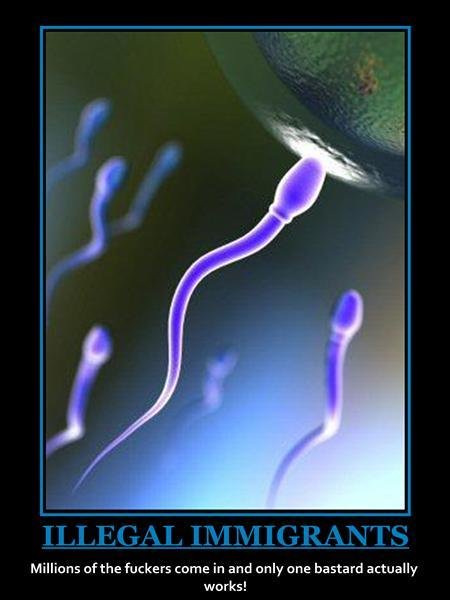 1973 Ford Ranchero - This image depicts sperm and an egg, with text that is unrelated to vehicles.