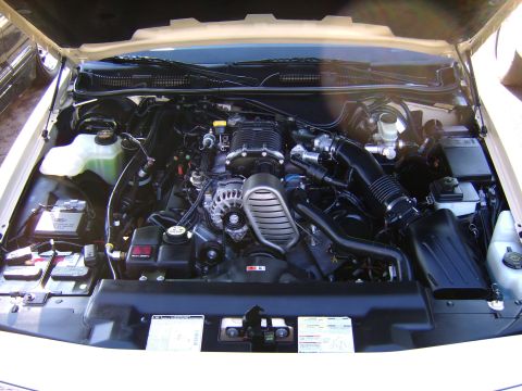 1996 Mercury Grand Marquis - Engine bay of a 1996 Mercury Grand Marquis, a supercharged V8.