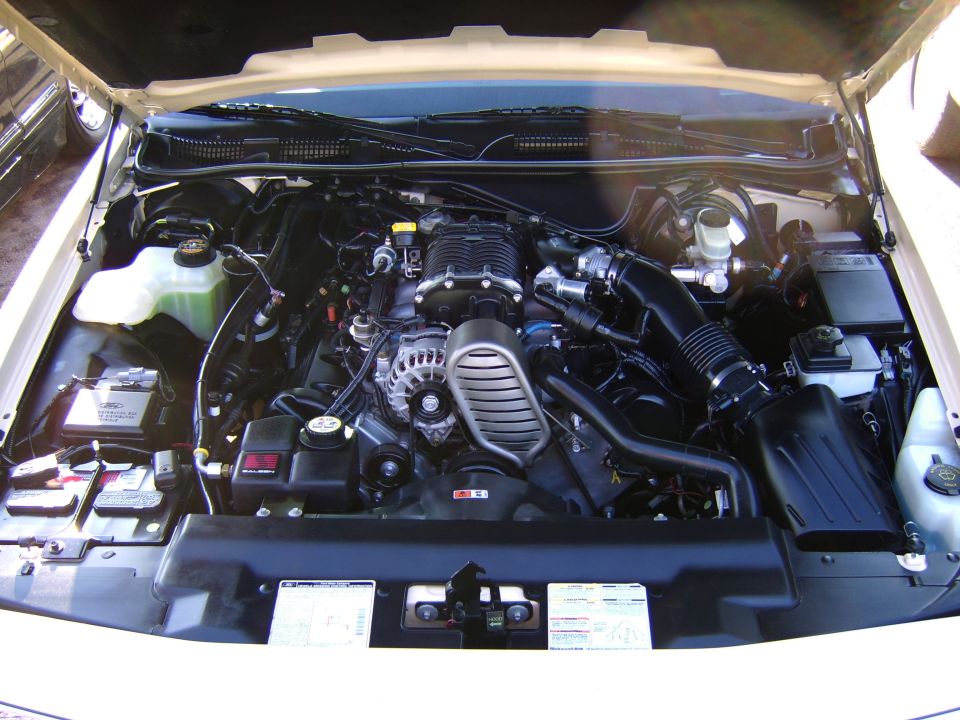 Engine bay with supercharged V8, black intake tubing, and Saleen component under an open hood.