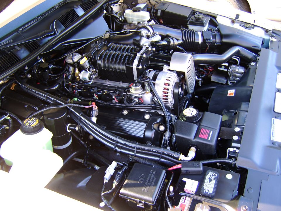 Supercharged V8 engine with Roots-style blower in engine bay