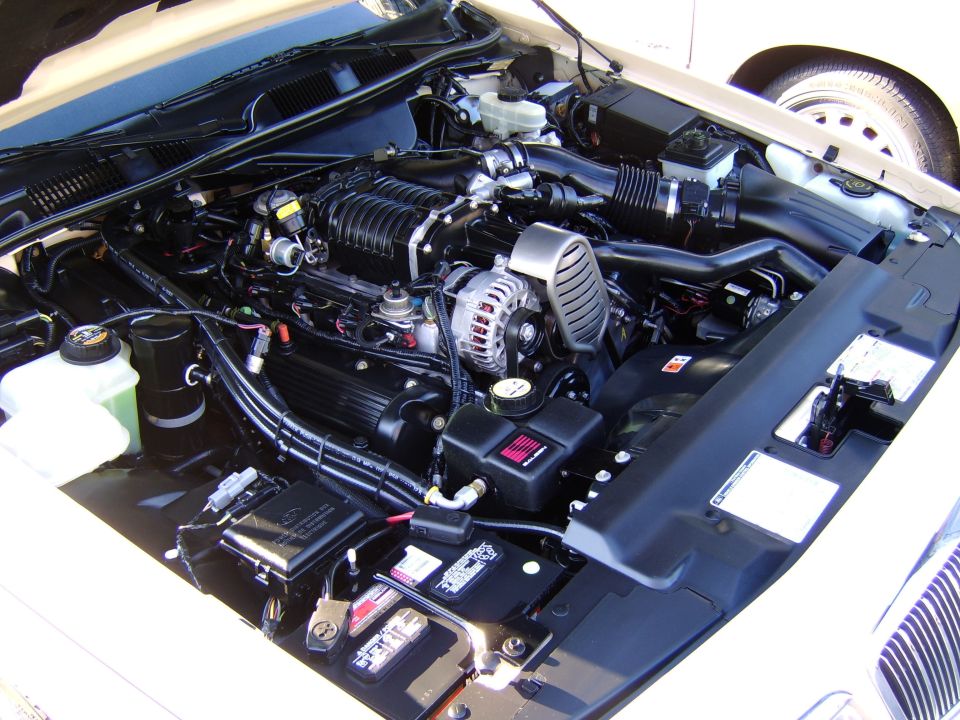 Engine bay with black supercharger, chrome alternator, in white vehicle