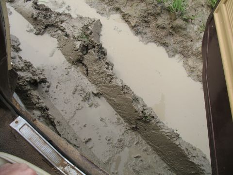 1979 Ford Bronco - Puddle; I didn't take most of these pics...
