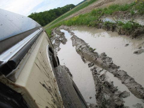 1979 Ford Bronco - more puddle...