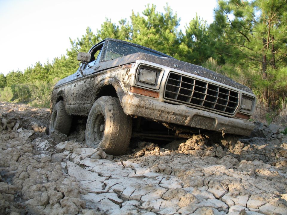 1979 Ford Bronco