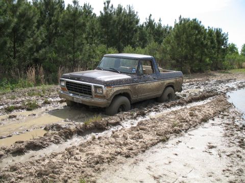 1979 Ford Bronco - stuck again
