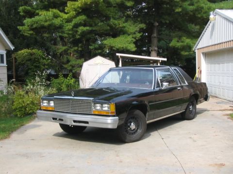 1981 Ford LTD photo
