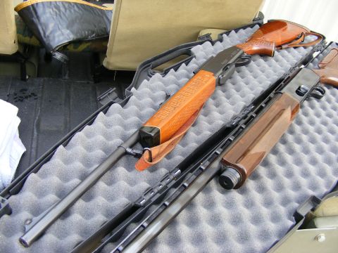 1979 Ford Bronco - Two shotguns are laid out in a padded gun case, which is placed on a dark textured surface. The shotguns have wooden stocks and metal barre…