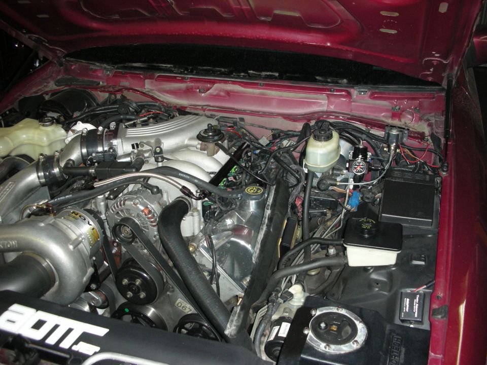 engine bay with a supercharger and custom intake piping. Looks like a Ford V8