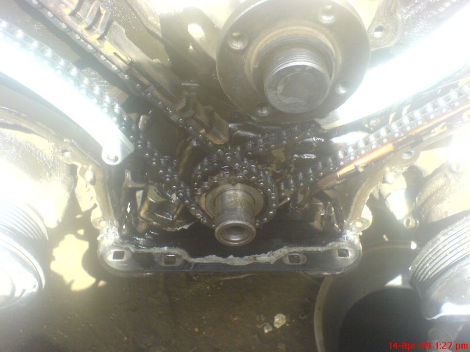 Engine timing chain and gears