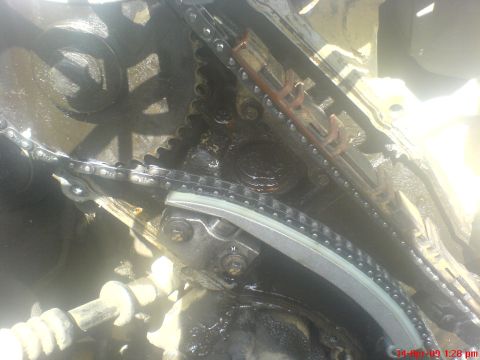 1992 Ford Crown Victoria - Engine timing chain and gear assembly, likely from a vehicle's internal engine components.