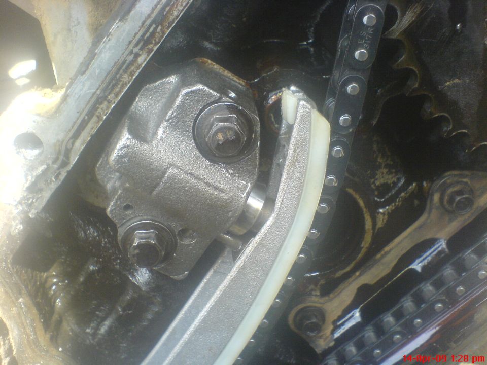 Engine timing chain and tensioner assembly, close-up view