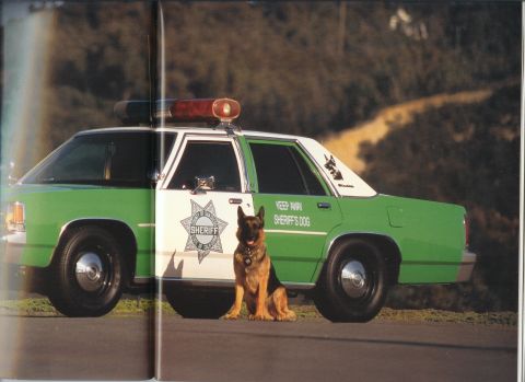 1991 Ford LTD Crown Victoria - A German Shepherd sits in front of a 1991 Ford Crown Victoria LTD sheriff's car, which has 'Keep Away Sheriff's Dog' written on its side.