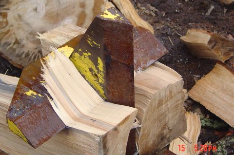 2009 Boar Razorback “splitters”