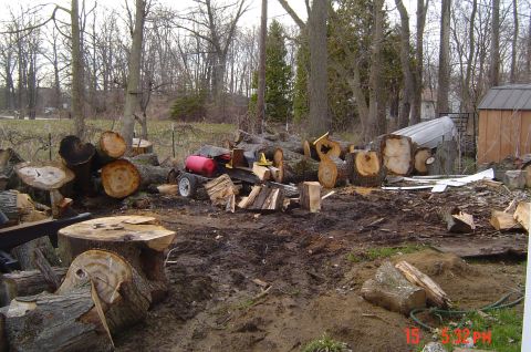 2009 Boar Razorback photo