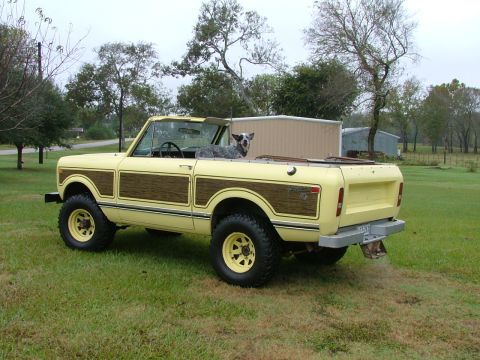 1975 International Scout II - A yellow 1975 International Scout II convertible with wood paneling sits in a grassy yard with a dog in the passenger seat.
