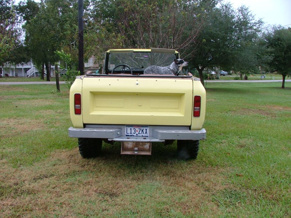 Yellow 1975 International Scout II convertible pickup truck, rear view, with a dog in the bed