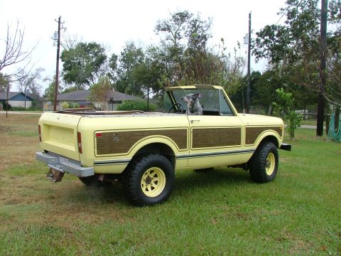 1975 International Scout II - A yellow 1975 International Scout II convertible with wood paneling sits in a grassy yard, with a dog in the driver's seat.
