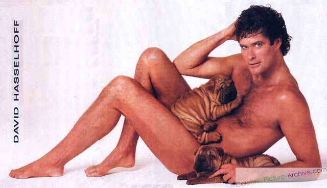 David Hasselhoff reclines with two Shar-Pei puppies on his chest and lap