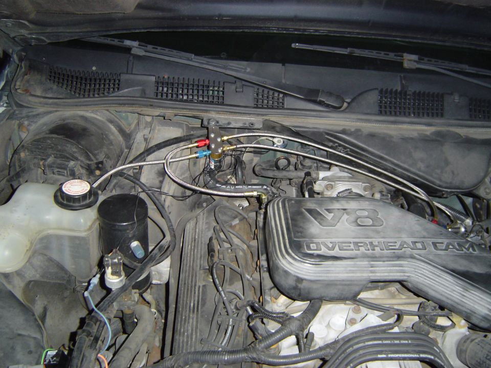 Engine bay showing V8 Overhead Cam valve cover and braided steel lines with AN fittings mounted near the cowl
