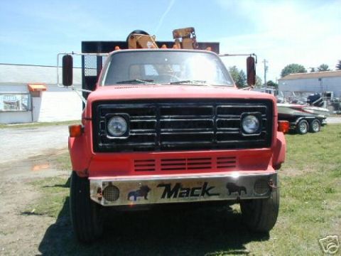 1946 Ford F1 photo