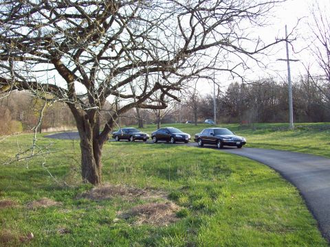1999 Mercury Grand Marquis - A dark-colored sedan is parked on a paved road next to a grassy field with a large tree in the foreground. Another sedan is visible further…