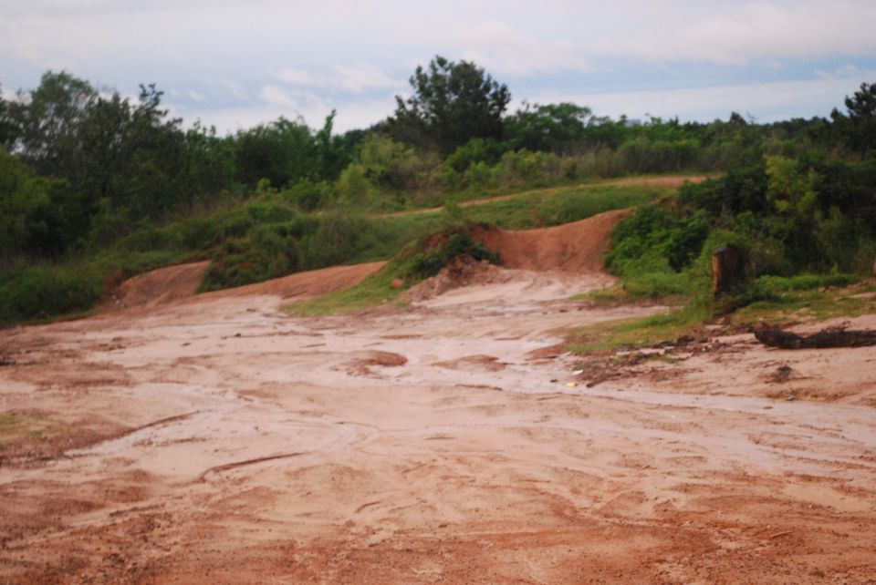 Muddy and sandy terrain with vegetation and trees.