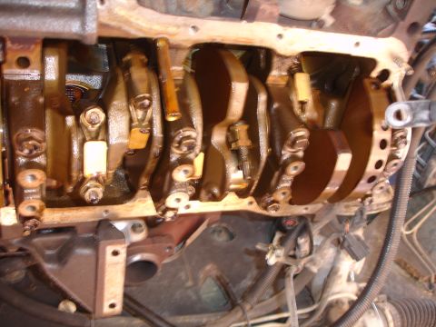 1995 Ford Taurus