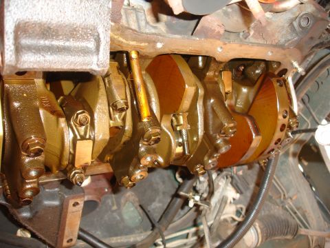 1995 Ford Taurus