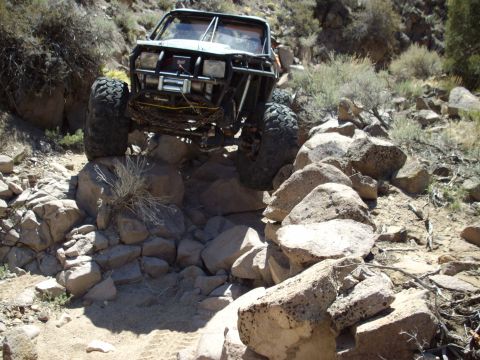 1982 Toyota 4Runner “Rabid Squirrel”