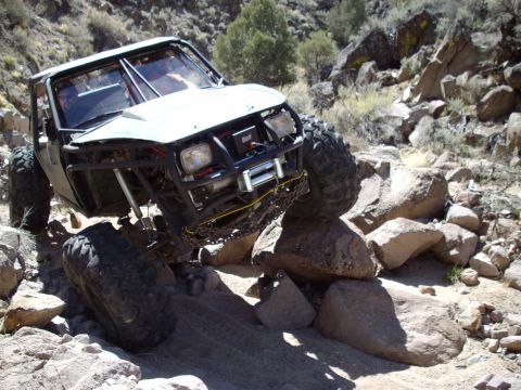 1982 Toyota 4Runner “Rabid Squirrel”