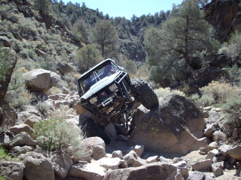 1982 Toyota 4Runner “Rabid Squirrel”