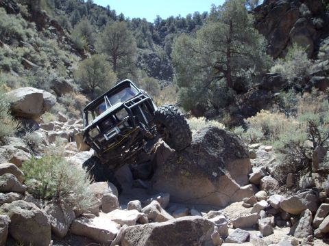 1982 Toyota 4Runner “Rabid Squirrel”