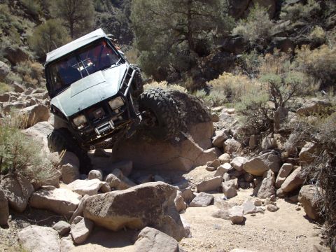 1982 Toyota 4Runner “Rabid Squirrel”