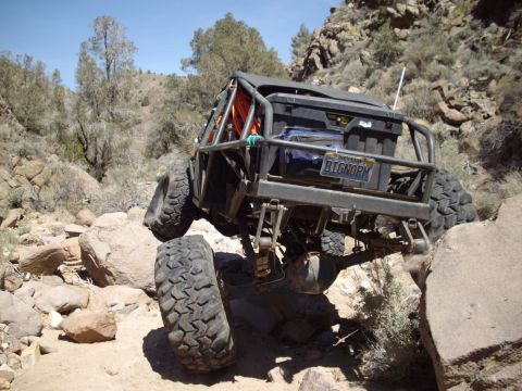 1982 Toyota 4Runner “Rabid Squirrel”
