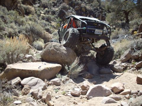 1982 Toyota 4Runner “Rabid Squirrel”