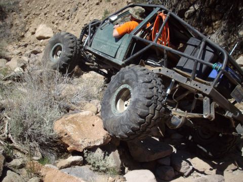 1982 Toyota 4Runner “Rabid Squirrel”