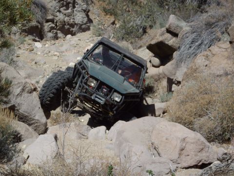 1982 Toyota 4Runner “Rabid Squirrel”