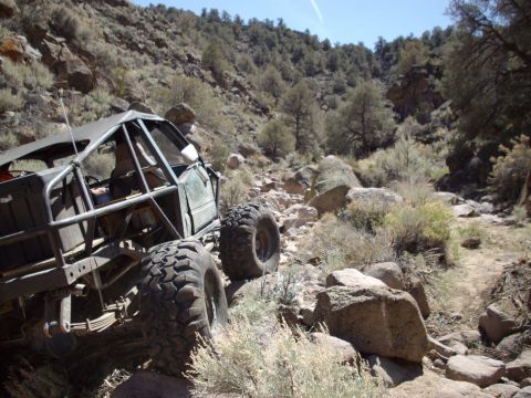 1982 Toyota 4Runner “Rabid Squirrel”